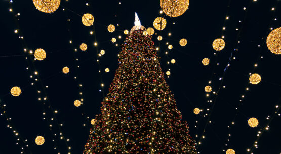 Alla One Express si accende il Natale!