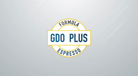 GDO Plus: the speed your merchandise deserves!