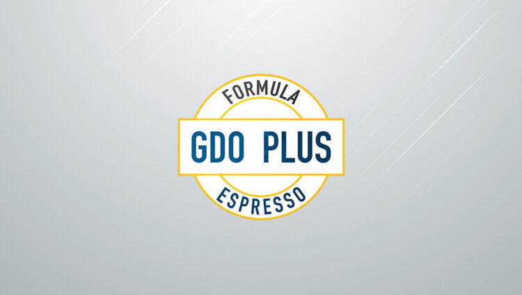 GDO Plus: the speed your merchandise deserves!
