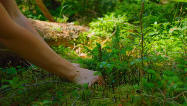 One Express: Our Commitment to a Greener Future!