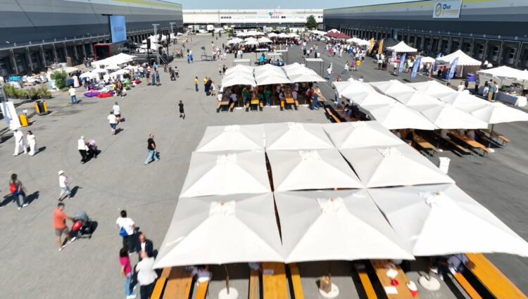 I Vincitori dei Tornei di Open Day One Express Land!